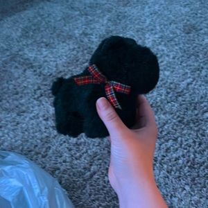 A little stuffed dog really cute